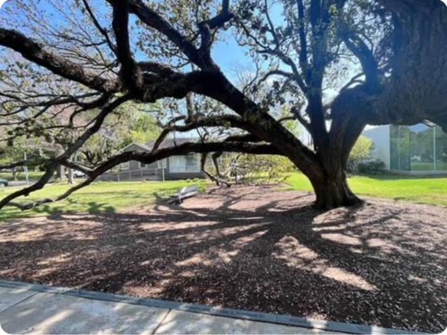 Pristine Montrose Walkable Half Block To Menil Museum Appartement *